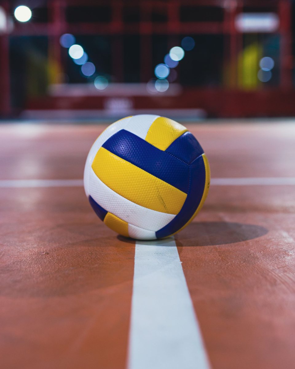 A volleyball resting on the center line of an indoor court
